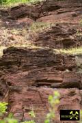 Ehemaliger Sandsteinbruch bei Bornstedt nahe Eisleben, Sachsen-Anhalt, (D) (7) 28.06.2015 (Hornburg-Formation).JPG